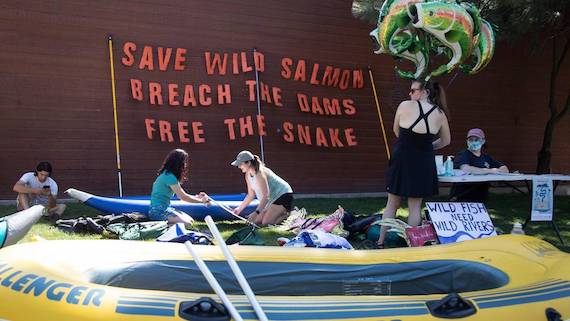 Salmon advocates put up a sign while floating the Boise River in August, part of a coordinated effort that included events in Idaho, Oregon and Washington to encourage removal of four Snake River dams. The Boise rally was organized by the Idaho Conservation League. (Sarah A. Miller photo)