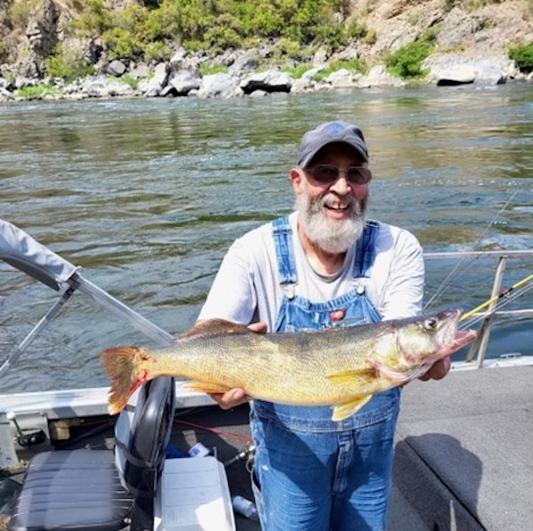 An angler holds a walleye caught at Rush Creek in Hells Canyon due east of Joseph, Oregon. (IDFG)