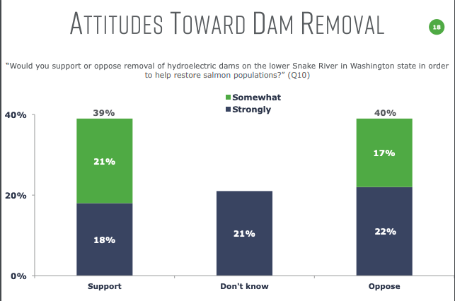 Graphic: Poll reveals an even divide in Washington State when asked 'Would you support or oppose removal of hydroelectric dams on the Lower Snake River in order to help restore salmon populations.