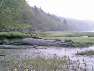 560 acres near the mouth of the Columbia River acquired to permanently protect riverside habitat for Northwest fish and wildlife.