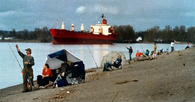 Boat and bank anglers will get a crack at catching spring chinook salmon in the lower Columbia River through April 7. (Joel Davis photo)