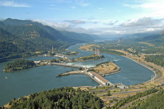People are advised not to eat non-migratory fish within a mile upstream of Bonneville Dam, because of conamination from PCBs.