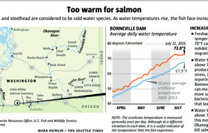 Graphic: Water temperature recorded at Bonneville Dam is much higher in 2015 than average.