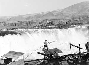 (YAKIMA VALLEY MUSEUM photo) A fisherman uses a dip net to fish at Celilo Falls in this undated photo before the falls inundated by the construction of the Dalles Dam. Celilo Village is visible on the shoreline.