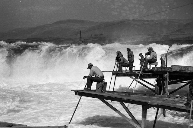 Indian fishermen dipnetting salmon at Celilo Falls on the Columbia in 1952. The falls, a major fishing site for tribes across the Pacific Northwest, was submerged when The Dalles Dam was built in 1957. (Barney Brunelle photo, Courtesy of Beverly Wright Brunelle)