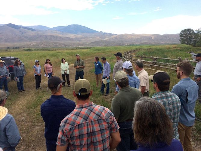 People gathered in Salmon last week for a meeting of a work group established by Idaho Gov. Brad Little to focus on improving habitat for salmon and steelhead. The meeting included tours of recovery projects. (Justin Hayes photo)