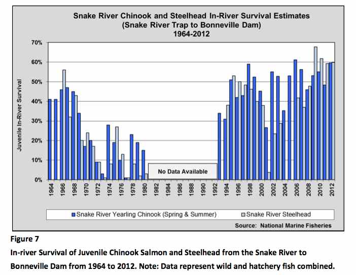 Graphic: Surival rates of juvenile Chinook Salmon and Steelhead from 1964 to 2012 migrating throgh the Federal Columbia River Power System.