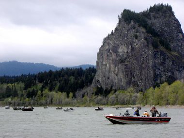 A small boat load of young anglers display their catch of Chinook salmon.