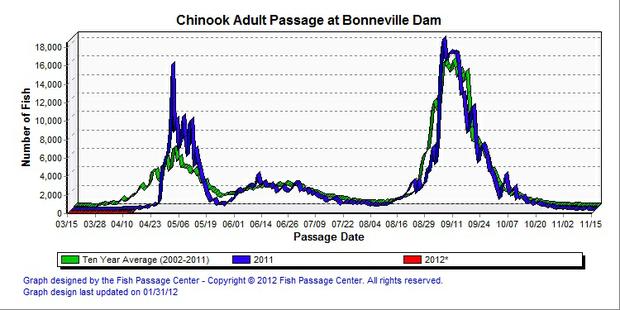Bonneville Dam spring chinook salmon counts and historical data showing the 2012 run is late.