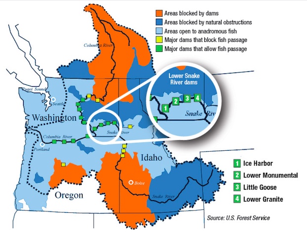 Graphic: Snake River Steelhead have triggered the Early Warning Indicator of the Federal Columbia River Power System's 2014 Supplemental Biological Opinion