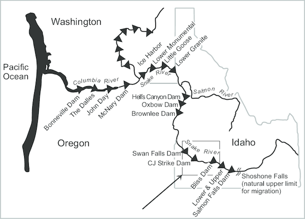 Map: Columbia and Snake River dams (click for a map of Columbia River Basin).