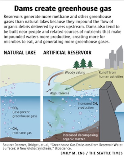 (Graphic by Emily M Eng) Reservoirs create more methane and other greenhouse gases than natural lakes.