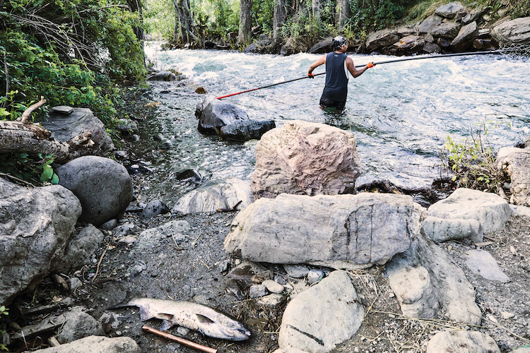 Brandon Bisbee fishes with a dip net on Rapid River. The government has spent over $17 billion on hatcheries for the Snake and Columbia rivers, yet salmon continue to decline. Biologists, conservationists, federal fisheries managers and tribal leaders believe more is needed to save the fish, including dam removal. (photo Hayley Austin/High Country News)