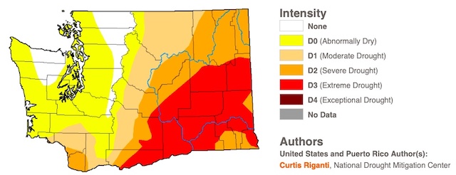 Map: Drought extends through most of Washington in 2021.
