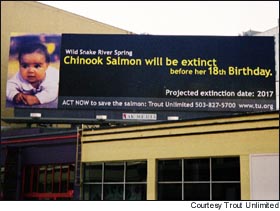 Billboard in Portland highlighting that according to one 1999 study by dam busters, the Snake spring Chinook were going to be functionally extinct by 2017 unless drastic measures were taken to improve passage conditions.