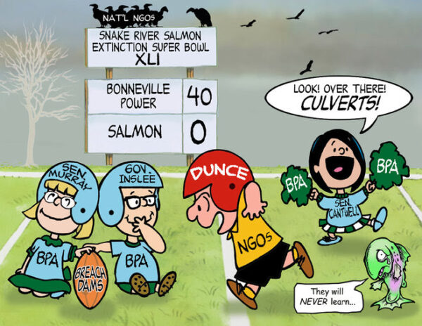 Cartoon: Snake River Salmon Extinction Super Bowl as Gov. Inslee and Senator Patty Murray hold the football for the NGOs to take another swing and miss.