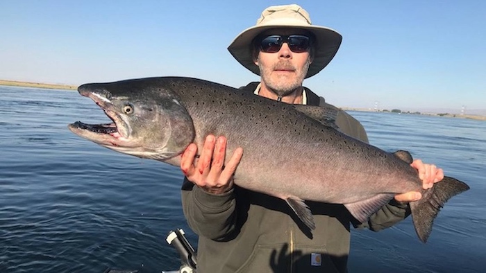 Local angler Paul Ward hoists a 22-pound Chinook salmon caught from the Hanford Reach in early September. Run size is lower than average this year, but a larger number of 4-year old fish is expected. (Courtesy Stan Kuick)