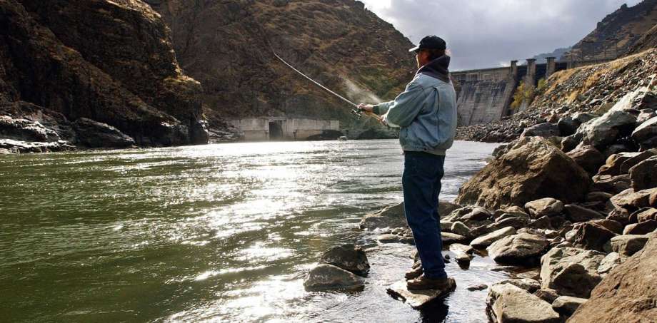 Fisherman Larry McBrom works along the Snake River shoreline below Hells Canyon Dam in southwestern Idaho. Authorities have released recovery plans for federally protected Snake River chinook salmon and steelhead with the goal of making sure each species is self-sustaining in the wild. (Darin Oswald/The Idaho Statesman via AP, File)