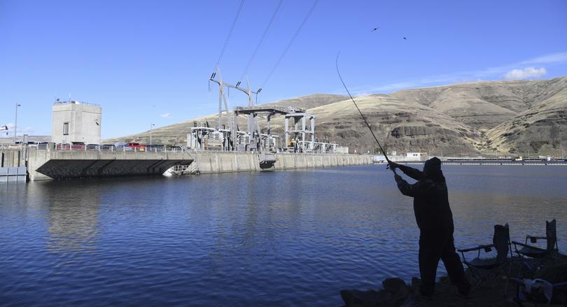 A man fishes for salmon in the Snake River above the Lower Granite Dam in Washington state. (Jesse Tinsley)