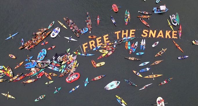 In late September 2016, more than 300 people took to the lower Snake River outside of Lewiston for the Free the Snake Flotilla.