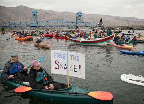 Free the Snake boaters protest Snake River Dams on the river near Clarkston, Washington, on Sept. 17, 2016. (Chris Jordan-Bloch / Free the Snake Flotilla)
