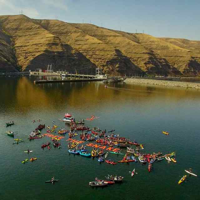 More than 160 boats and 300 advocates staged a peaceful protest, dubbed 'Free the Snake,' between Wawawai Landing and Lower Granite Dam on Oct. 3, 2015, calling for breaching the lower four Snake River dams primarily for the benefit of endangered salmon and steelhead fisheries. (Photo by Ben Moon)