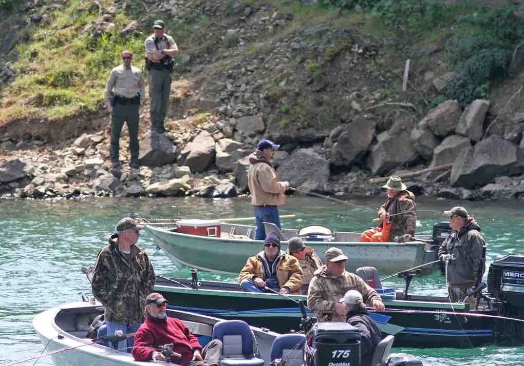 Game Wardens on the bank watch over a crowded Chinook salmon fishery.