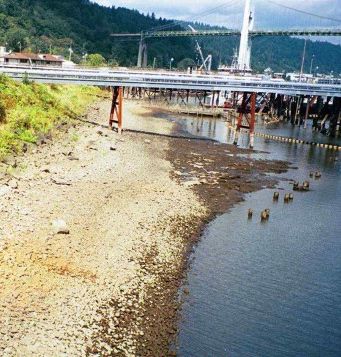 Tar ponds have overflowed into the Willamette River for decades. (U.S. EPA Region 10 photo)