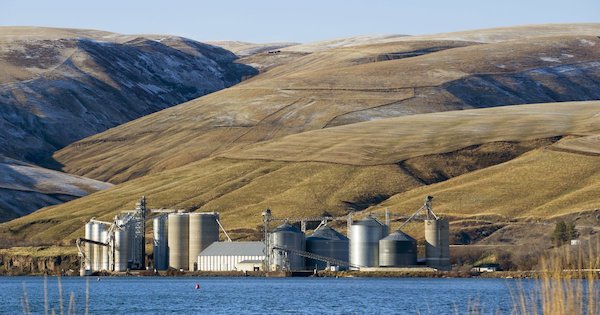 Dam advocates say breaching the Snake’s dams would lead to higher shipping prices that would cut profits of wheat growers by half or more, forcing many farming families out of business. (Mike Siegel / The Seattle Times)
