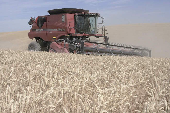 A combine harvests winter wheat near Walla Walla, Wash., on July 10.  Weather problems in the Upper Midwest, Canada and Australia have led to an increase in wheat prices.