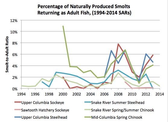 SAR Graphic: Percentage of naturally produced smolts returning as adult fish. (1994-2014)