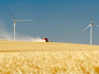 (PSE Photo) Two of the wind turbines at Hopkins Ridge near Dayton.