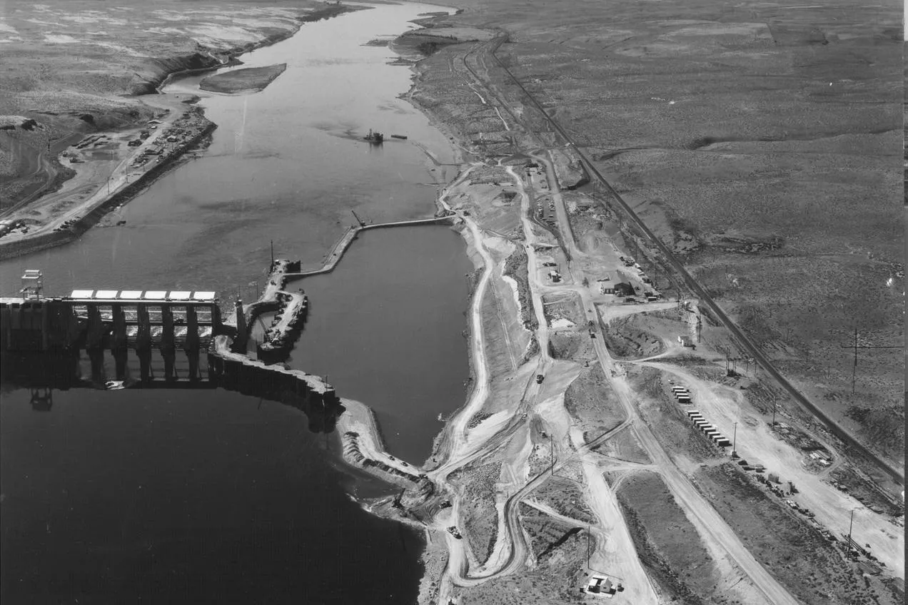Construction of the Ice Harbor Dam in 1959. (US Army Corps of Engineers)