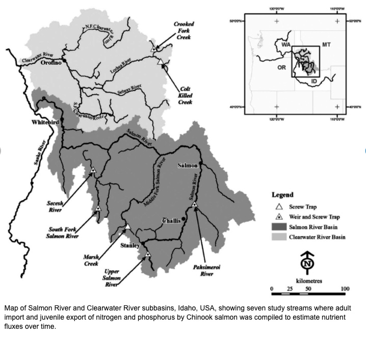 Map: Clearwater River and Salmon River basins, Idaho, USA, showing seven study streams where adult import and juveniles export of nitrogen and phosphorus by Chinook salmon was compiled to estimate nutrient fluxes over time.
