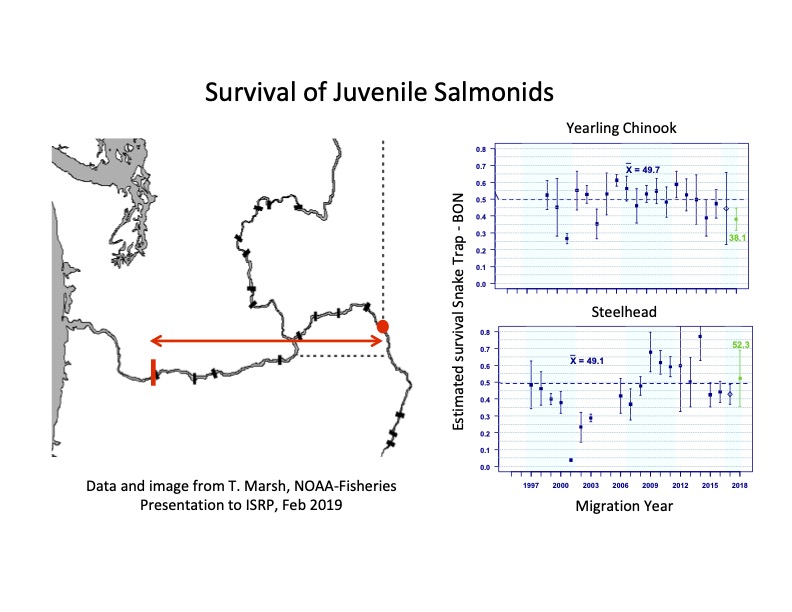Survival of juvenile salmon and steelhead through the federal hydrosystem corridor (1997-2013) from Independent Science Review Panel, February 2019 based on NOAA Fisheries data.