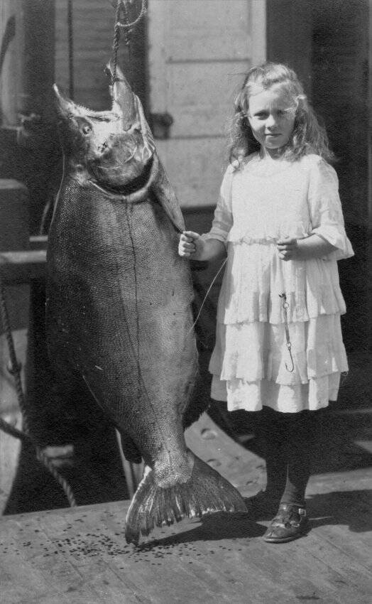 Grace (Dolly) Washburn c. 1917. The King salmon weighed 108 pounds, Grace weighed 65 lbs, she was 11 years old. The fish was caught in one of the fish traps off South Beach, San Juan Island. (Contributed photo by the San Juan Island Historical Museum)
