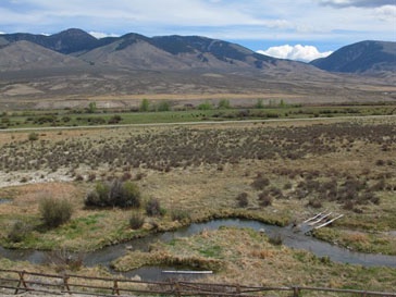 A series of projects over the last five years reconnected Lemhi Little Springs Creek in South Central Idaho, shown here, with the Lemhi river.