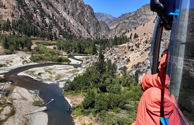 This Sept. 9, 2020 photo provided by the Idaho Department of Fish and Game shows Idaho Department of Fish and Game fisheries biologist Eli Felts looking down at Loon Creek to count chinook salmon spawning beds in the Frank Church River of No Return Wilderness, Idaho. (Conor McLure/Idaho Department of Fish and Game via AP)