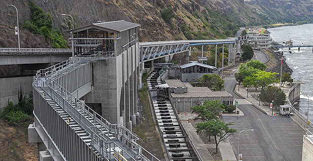 The fish ladder and other facilities at Lower Granite Dam. (photo credit: Jeremy P. Jacobs/E&E News)