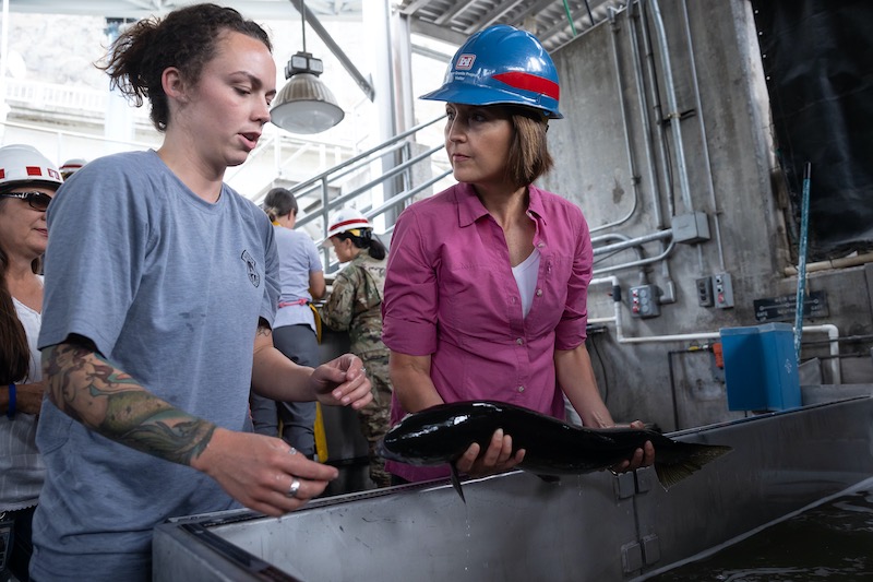 Rep. Cathy McMorris Rodgers (R-Wash.) at the Lower Granite Dam fish trap. (photo Francis Chung/E&E News)