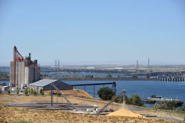 The Pendleton Grain Growers McNary Terminal can store 6.6 million bushels of wheat and handles 90 percent of the wheat in Umatilla County, Ore.