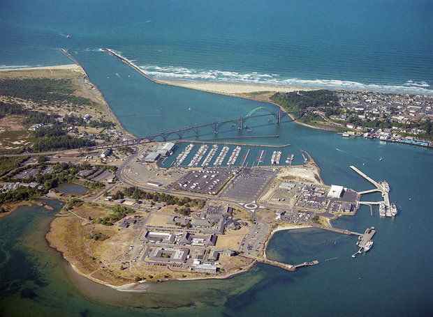 The Newport Bay is a commercial fishing hub. The Port of Newport wants to bring more ship activity through an international terminal shipping facility. (Oregon State University photo)