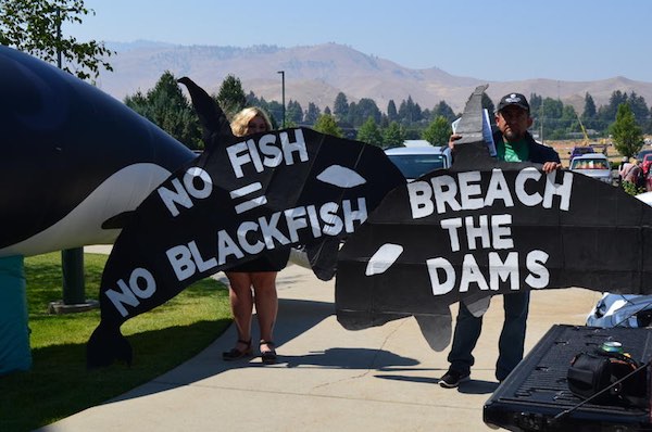Protesters call for the removal of dams on the Snake River to help salmon spawn -- and consequently feed Puget Sound orcas. The protest came outside a meeting of the governor's orca task force in Wenatchee on Tuesday
