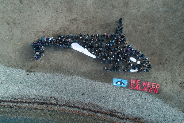 Humans stand on beach to make an orca mural as seen from above. (Contributed photo by Backbone Campaign and Alchemy Arts)