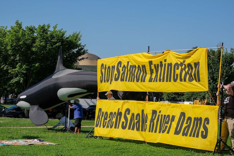 Advocates of breaching the Lower Snake River dams hold a banner and inflatable orca at a rally outside the U.S. Capitol on July 14, 2022, organized by Northwest tribes. (Orion Donovan-Smith, The Spokesman-Review)
