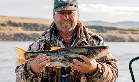 Anglers head out to catch northern pikeminnow and protect baby salmon from getting eaten. Each year, thousands of people participate in the BPA sponsored program that is now in its 27th year and has removed millions of pikeminnow from the Columbia and Snake rivers.