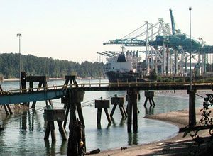 The Columbia River looking upstream toward Terminal 6