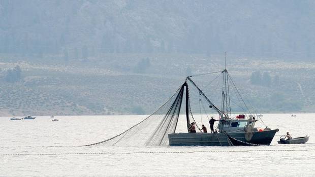 Okanagan Nation sets seine nets for sockeye salmon in Osoyoos Lake with sports anglers fishing in background.