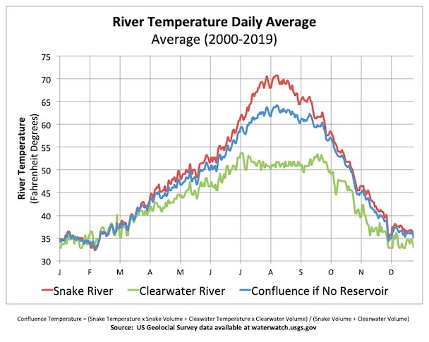 Graphic: With cold water released from the depths of Dworshak Reservoir, the Clearwater River would cool river temperatures if their were no reservoir at the confluence with the Snake River.  Now, with the reservoir, the cool water, heavier than the warm Snake River, mostly slips underneath with very little mixing of the waters.