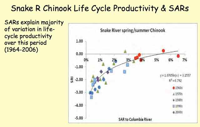 Smolt-to-Adult ratio (SAR) explains the majority of life cycle productivity over the period 1964-2006. (source: Charlie Petrosky, IDF&G, from Comparitive Survival Study 2015 annual meeting.